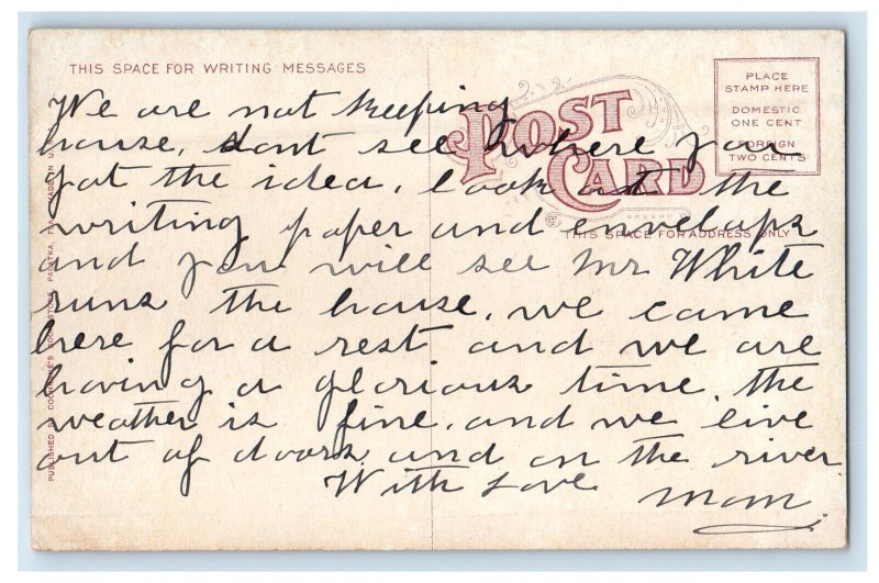 c1910 Railroad Through Palm Forest, Florida FL Posted Antique Postcard