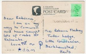 The Lifeboat, Salcombe No 964 'The Baltic Exchange' PPC By salmon, 1984 PMK