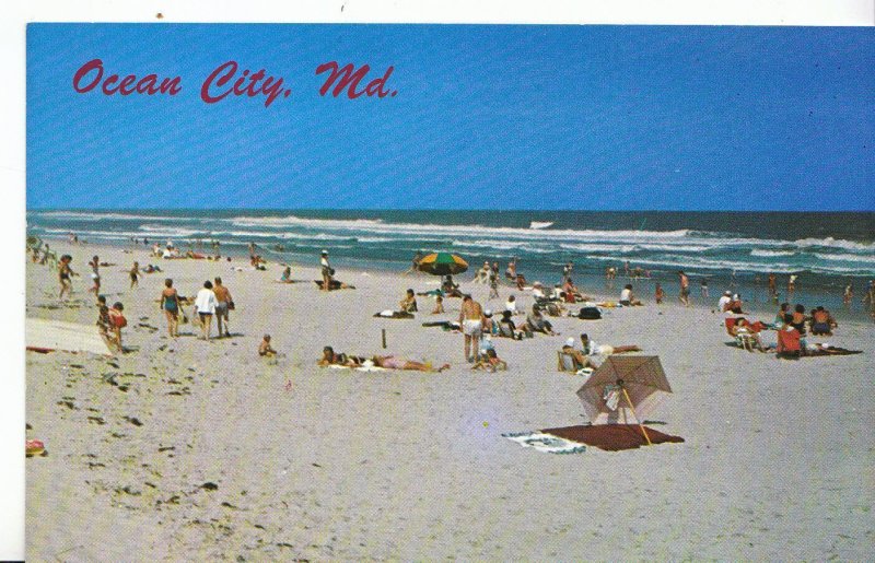 America Postcard - Ocean City - Maryland - Beach and Surf     XX222