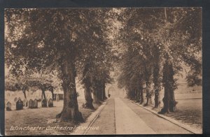 Hampshire Postcard - Winchester Cathedral Avenue  RS14378