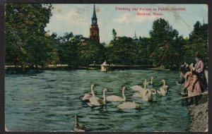 1910s Boston Public Garden, used post card Boston Masachusetts