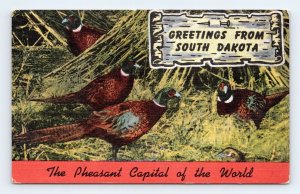 Pheasant Capitol Of the World Greetings South Dakota SD UNP  Linen Postcard M4