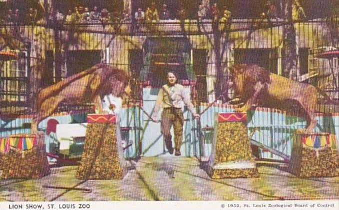 Missouri St Louis The Lion Show St Louis Zoo