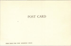 Postcard A Pigeon Farm