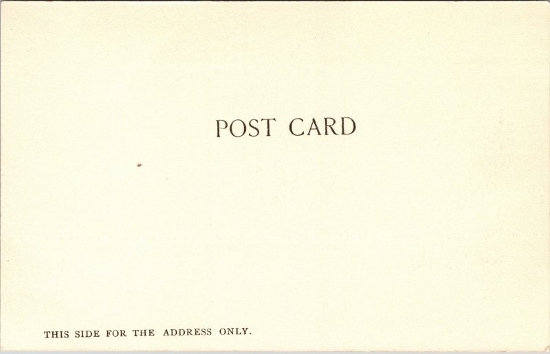 Postcard A Pigeon Farm