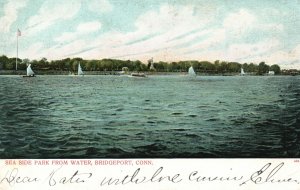 Vintage Postcard 1900's Sea Side Park From Water Bridgeport Connecticut CT