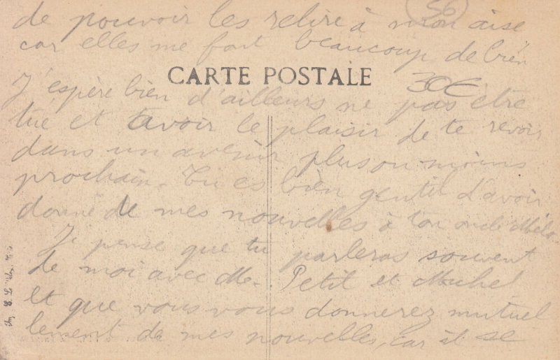 France Coëtquidan prison camp german prisoner bringing the pig to slaughterhouse 