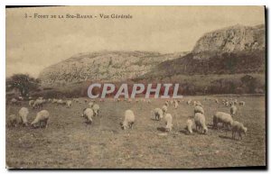 Postcard Old Forest of Ste Baume Vue Generale