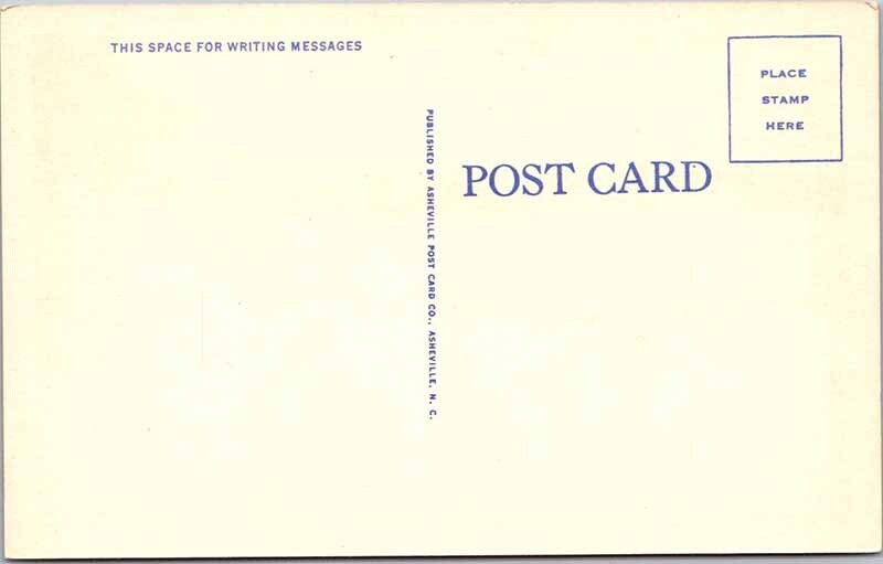 Postcard DAM SCENE Eastern Tennessee TN AM9991