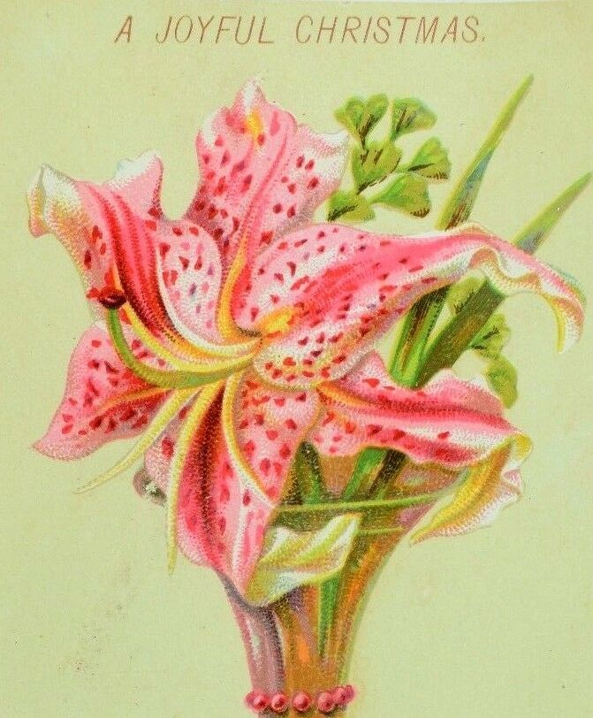 1870's80's lovely A Joyful Christmas Lily Flower Victorian Card P74