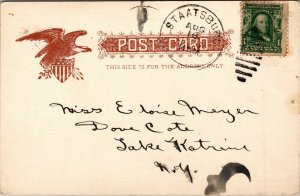 Vtg 1900s The Fountain Staatsburg New York NY Postcard