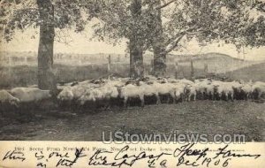 Scene from Newdeck's Farm - Fort Dodge, Iowa IA  