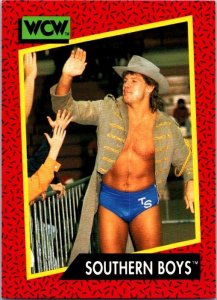 1991 WCW Wrestling Card Southern Boys Steve Armstrong Tracy Smothers sk21226