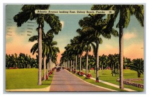 Vintage 1950 Postcard Palm Trees Autos on Atlantic Avenue Delray Beach Florida