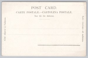 Postcard Via Mala Switzerland Waterfall Forest River 1900s UDB View