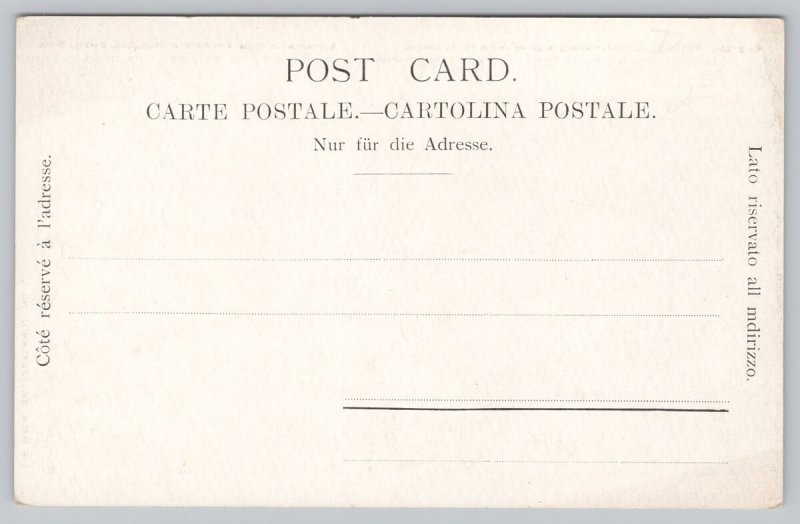 Postcard Via Mala Switzerland Waterfall Forest River 1900s UDB View