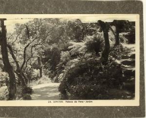 PORTUGAL SINTRA PALACIO DE PENA JARDIN Postcard