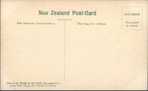 Auckland New Zealand Cornwall Park c1910 Postcard
