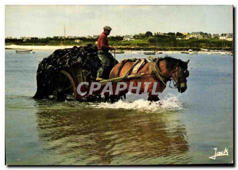 Old Postcard Colors of Brittany cartload of goemon