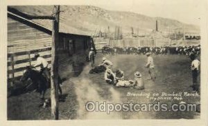 Branding Western Cowboy, Cowgirl 1947 postal used 1947