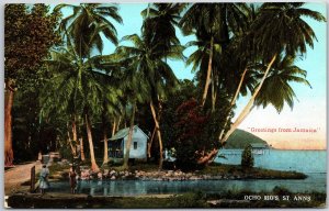 Greetings From Jamaica Ocho Rios St. Anns Palm Houses Near Lake Postcard