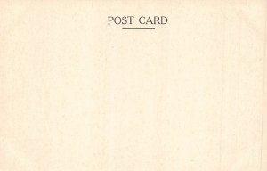 Egyptian Papyrus from British Museum Ani Tomb Door Human-head Hawk postcard