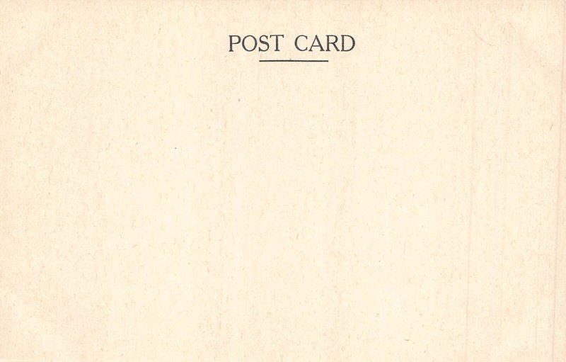 Egyptian Papyrus from British Museum Ani Tomb Door Human-head Hawk postcard