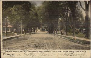 Danbury CT Deer Hill Ave c1905 Postcard