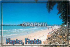 Postcard Modern Naples Florida Naples on the Gulf The View of the Naples Pier...