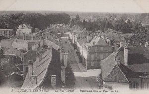 Luxeuil Les Bains La Rue Carnot Antique Aerial Birds Eye France French Postcard