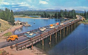 Yellowstone National Park The Fishing Bridge Old Cars Postcard