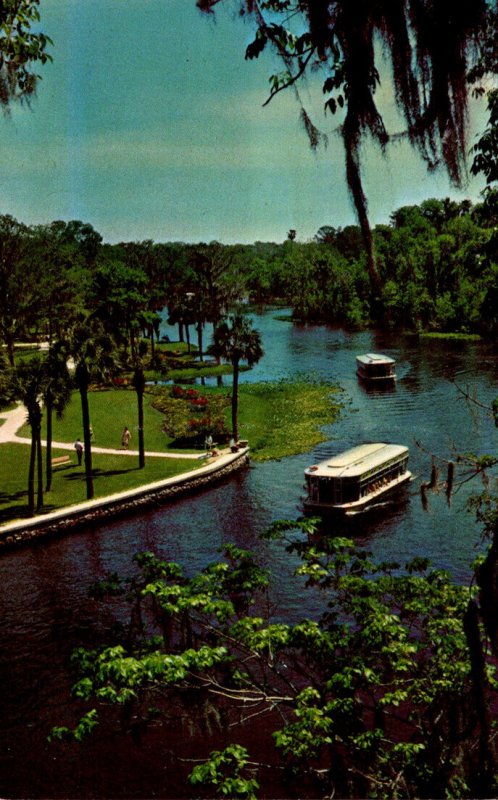 FLorida Silver Springs Glass Bottom Boats On Silver River