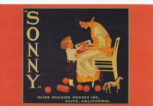 Sonny Orange Box Label Olive Hillside Groves Circa 1925