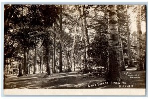 c1910's Hotel Sagamore Pines Birch Tree View Lake George NY RPPC Photo Postcard