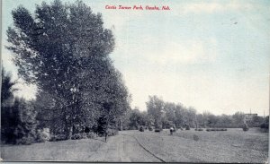 Vtg Omaha Nebraska NE Curtis Turner Park 1907 Old View Postcard