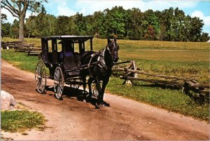 Postcard IN Nappanee - Horse & Carriage buggy on country road in Amish Farmland