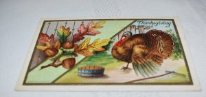 Thanksgiving Greetings Turkey Acorns Postcard 1910 L. R. Cornwell N. Y.