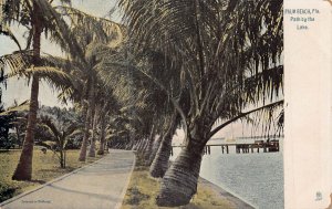 PALM BEACH FLORIDA~PATH BY THE LAKE~1900s RAPHAEL TUCK SERIESPOSTCARD