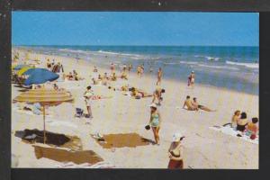 Beach Scene Postcard 