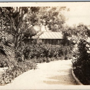 c1930s San Diego CA RPPC Unknown Garden Trail by Bunnell Real Photo Shop PC A200