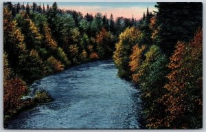 Vtg Bellaire Michigan MI River View 1950s Old Postcard