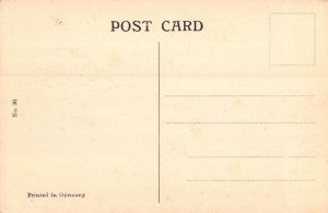 L377 India Darjeeling Victoria Waterfall bbridge vintage  postcard