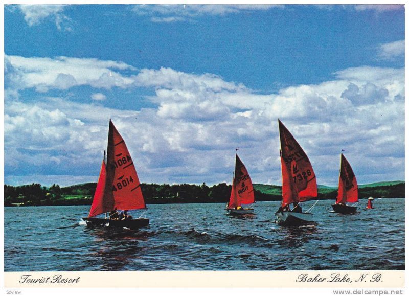Sailboat Racing , BAKER LAKE , New Brunswick , Canada , PU-1989