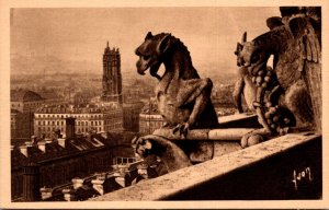 France Paris Notre Dame Chimeres