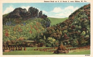 Vintage Postcard Seneca Rock on U.S. Route 5 near Elkins West Virginia W. VA