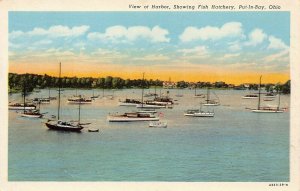 LPS17 PUT-IN-BAY Ohio Harbor Aerial View Postcard