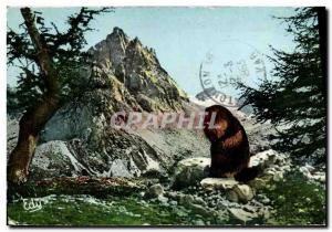 Modern Postcard The Luncheon of the Marmot