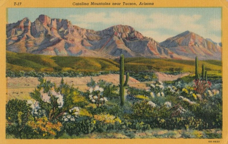 Catalina Mts , Nr Tucson , ARIZONA, 1930-40s