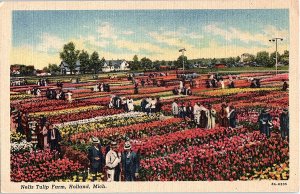 Postcard FARM SCENE Holland Michigan MI AI1906