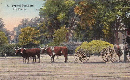 Typical Southern Ox Cart Wagon Load Of Hay Curteich